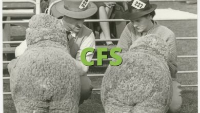 cfs meaning slang