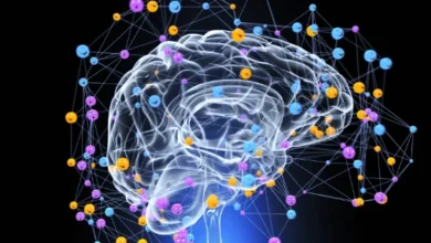 mood words