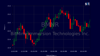 bmnr stock forecast